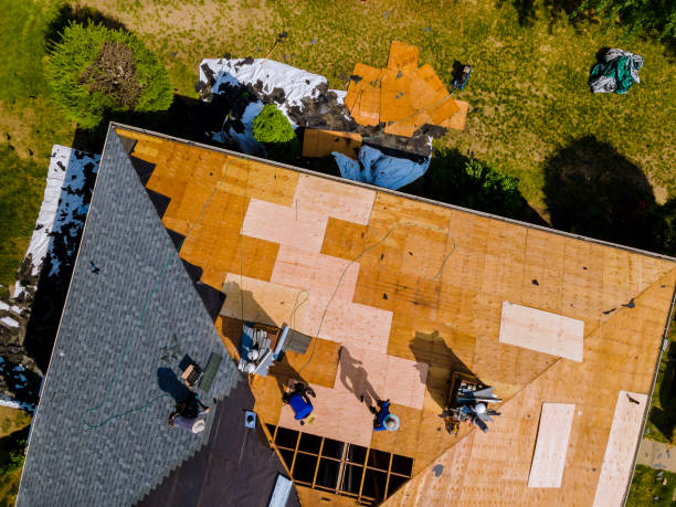 Best Local Roofing Companies  in St Martin, MS
