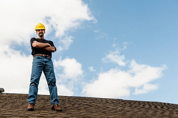 Roof Gutter Cleaning in St Martin, MS