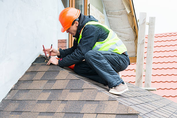 Best Roof Gutter Cleaning  in St Martin, MS